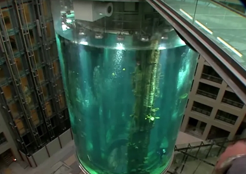 Todos os peixes que estavam no aquário gigante morreram, dizem autoridades de Berlim