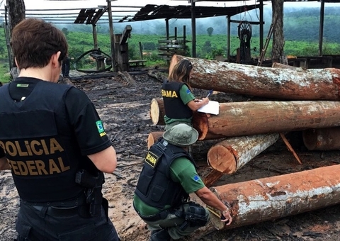 Donos de madeireira são denunciados pelo MPF por contrabando no Amazonas