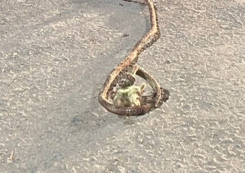 Com corda no pescoço, homem é salvo por população em ramal de Manaus