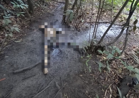 Homem sai para caçar e encontra corpo em decomposição no Amazonas