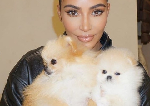 Kim Kardashian apaga vídeo após filha mostrar como cachorros da família são tratados