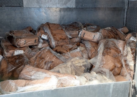 Em 2022, 40 toneladas de alimentos impróprios para consumos foram aprendidas no Amazonas