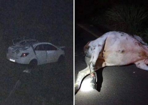 Locutor de rodeio e amigo morrem após carro atropelar vaca em rodovia
