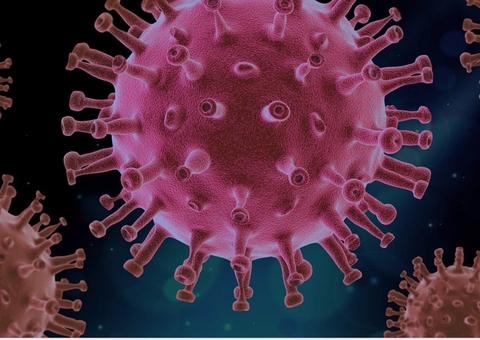 Covid-19: Variante Kraken, a XBB.1.5, pode chegar ao Brasil