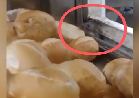 Vídeo: Cliente flagra rato comendo pão em estufa de supermercado