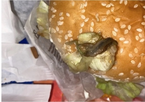 Cliente paga R$ 97 em lanche do Burger King e sanduíche vem com lesma