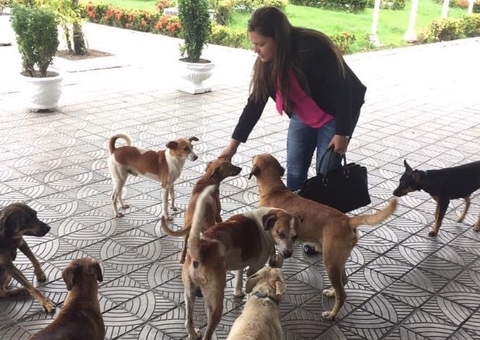 Joana Darc repudia e fala em retrocesso proibir alimentação de animais nas dependências da CMM