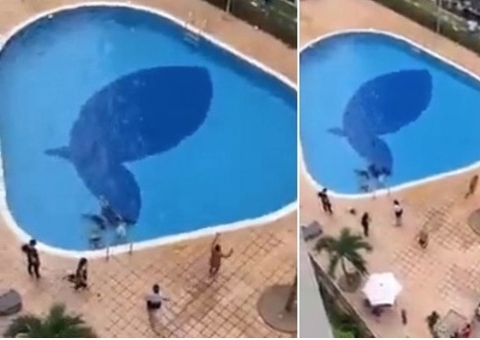 Vídeo: Quatro pessoas desmaiam em piscina ao receberem descarga elétrica