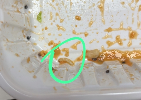 TCE Amazonas rescinde contrato com empresa que serviu comida contaminada