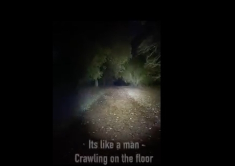 Casal flagra ‘espírito rastejando' em trilha de parque mal-assombrado