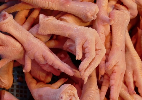 Hong Kong importa pés de galinha do Brasil e recebe 300 kg de cocaína