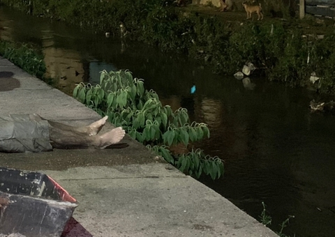 Criminosos ligam para família de homem e contam onde desovaram corpo em Manaus