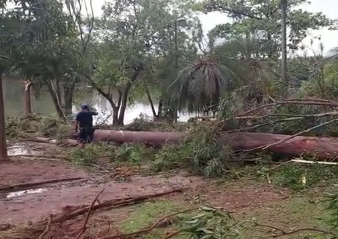 Por conta da chuva, árvore cai e mata criança de cinco anos que brincava em parque