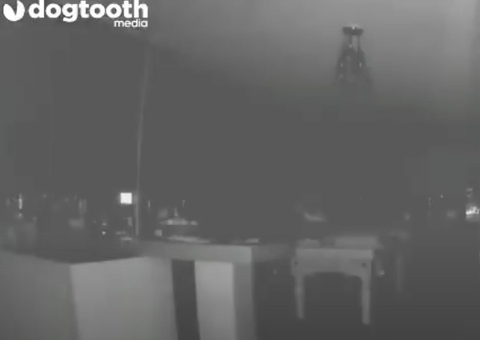 Vídeo: Casal diz ter flagrado fantasma passeando com cachorro dentro de casa