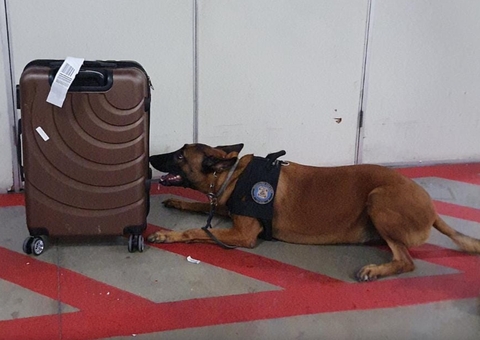 Homem é preso pela PF tentando embarcar com drogas em mala no aeroporto de Manaus