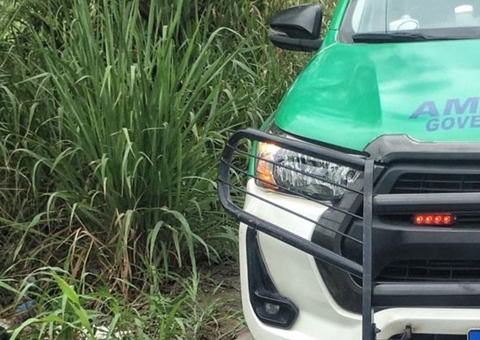 Com tiros na cabeça, corpo de homem é achado em meio a lixo em Manaus