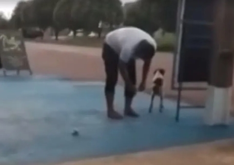 Vídeo: Vereador é flagrado colocando bombinha em rabo de cachorro