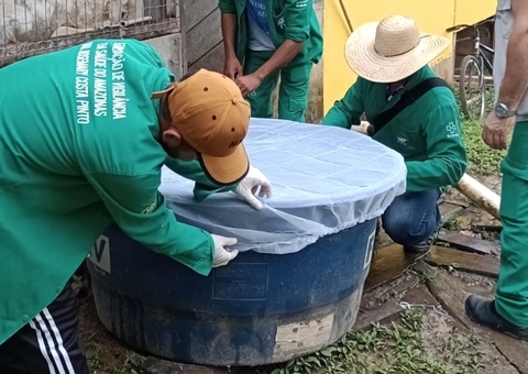 Ações de vigilância contra mosquito da dengue são intensificadas no Amazonas