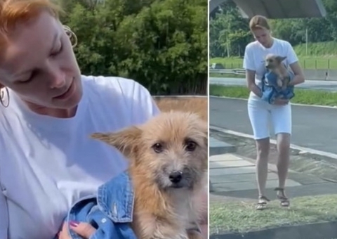 Vídeo: Ana Hickmann resgata cachorro abandonado em estrada 