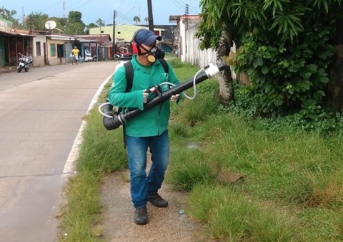 Amazonas registra mais de 7 mil casos de dengue; confira dados