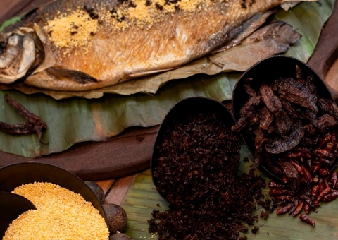 Lets go Turistar em Manaus, no Biatüwi 