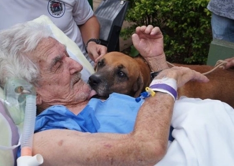 Deputado quer que animais possam ser liberados para visitar pacientes em hospitais