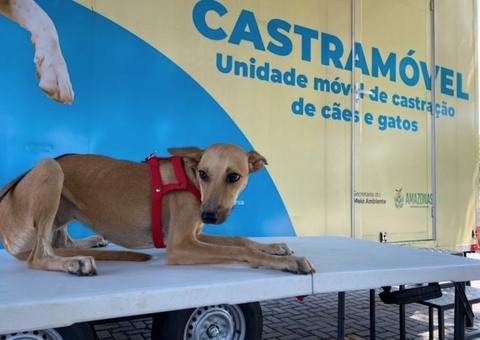 Agendamento para castramóvel inicia amanhã na zona Norte de Manaus