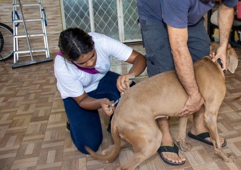 Vacinação antirrábica animal prossegue neste sábado em Manaus