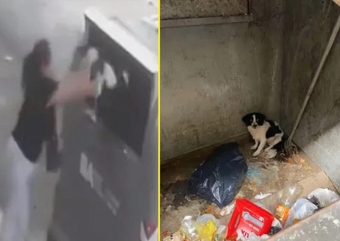 Mulher joga cachorro dentro de lixeira e causa revolta na web; vídeo