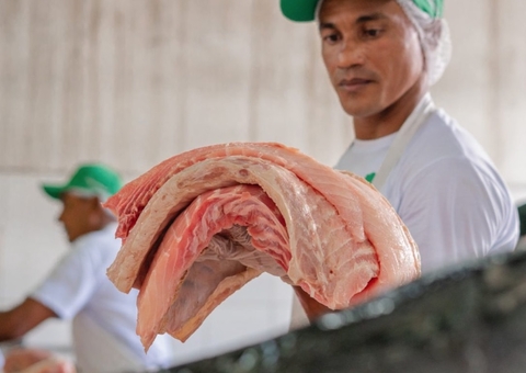 Feira da FAS abre vendas de tambaqui e pirarucu com quilo do peixe a partir de R$ 10 em Manaus