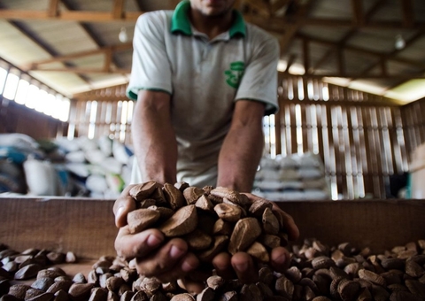Produtores do Purus e Madeira lançam mapa sobre produção agrícola no Amazonas