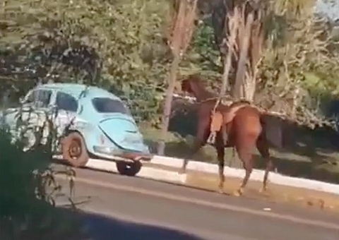 Motorista é preso ao ser flagrado arrastando cavalo em fusca; vídeo chocante