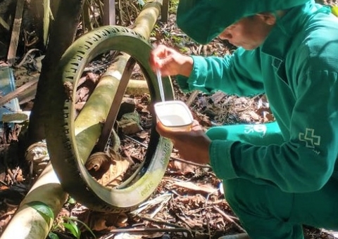 Em uma semana, Amazonas registra 477 novos casos de dengue e uma morte pela doença