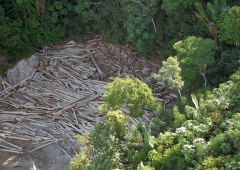 Em 3 meses, desmatamento aumenta 219% na Amazônia, aponta INPE