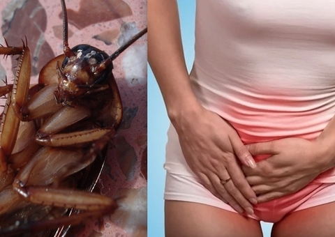 Mulher vai parar no hospital após barata entrar em sua vagina