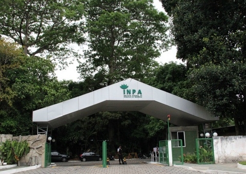 Inpa abre seleção de bolsistas de nível médio e doutores, com remuneração de até R$ 5,7 mil