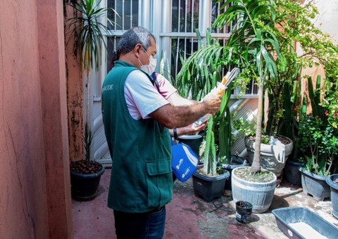 Mais de 25 mil casas em Manaus devem ser vistoriadas para identificar focos de dengue