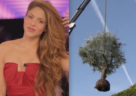 Shakira manda retirar árvore de casa onde morava com Piqué; vídeo 