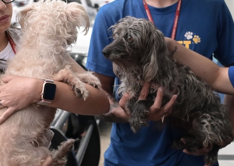 Preso homem que divulgou vídeo estuprando cadela em Manaus 