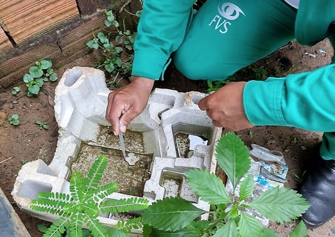 Em uma semana, Amazonas registra 614 casos de dengue