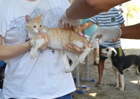 Evento oferece vacinação antirrábica gratuita para cães e gatos em Manaus