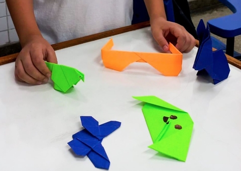 Origamis são usados como ferramenta pedagógica em escola de Manaus