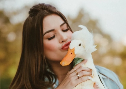 'Procura-se Patolino': Polícia investiga roubo de pato de influenciadora