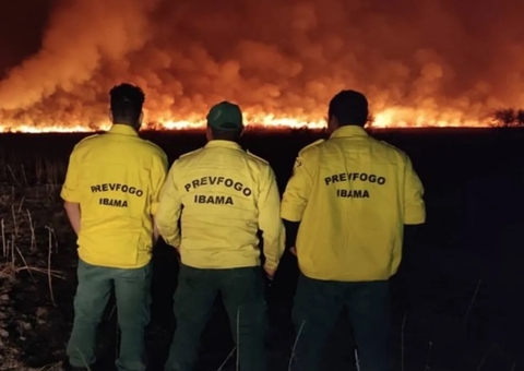 Com salário de até R$ 5,2 mil, Ibama abre concurso com vagas para o Amazonas