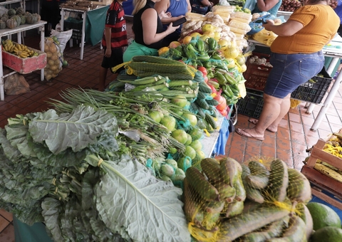 Feira de produtos orgânicos será inaugurada na Ponta Negra, em Manaus