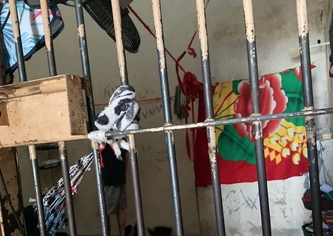 DPE-AM recomenda a presídios adoção de medidas para identificar indígenas