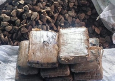 Drogas escondidas em saco com castanhas são apreendidas em porto no Amazonas