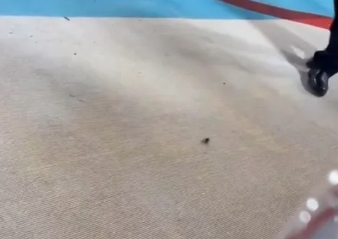 Barata invade tapete e rouba a cena no MET Gala 2023 