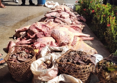 Homens são presos por vendar ilegal de carne de anta e mutum no Amazonas