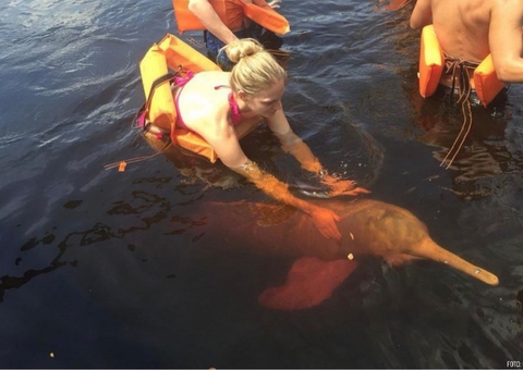 Let’s go turistar em Manaus, no Safari Amazônico